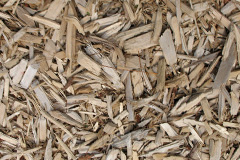 biomass boilers Henfynyw